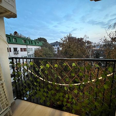 Pavlovic Apartman 贝尔格莱德 外观 照片