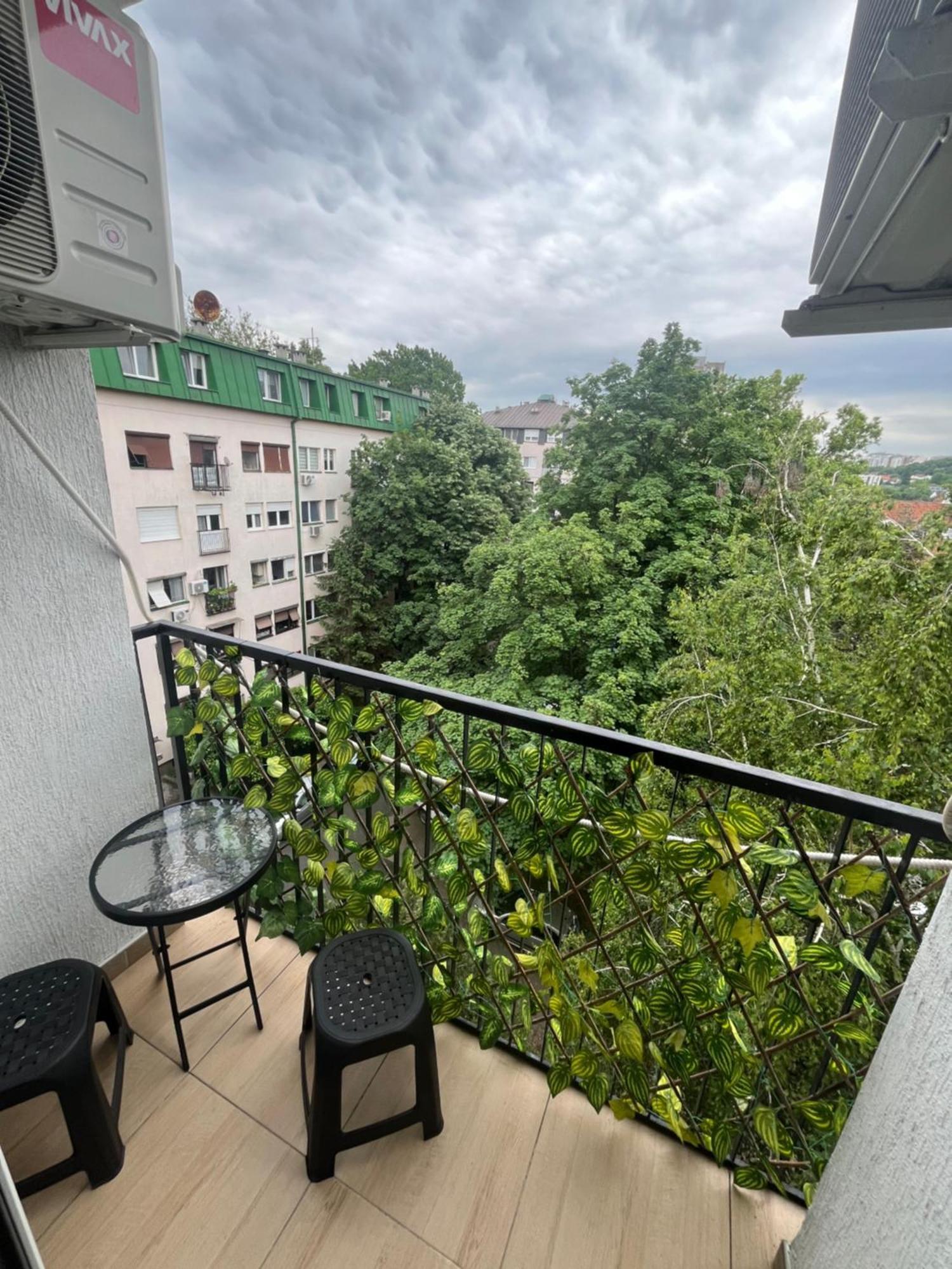 Pavlovic Apartman 贝尔格莱德 外观 照片