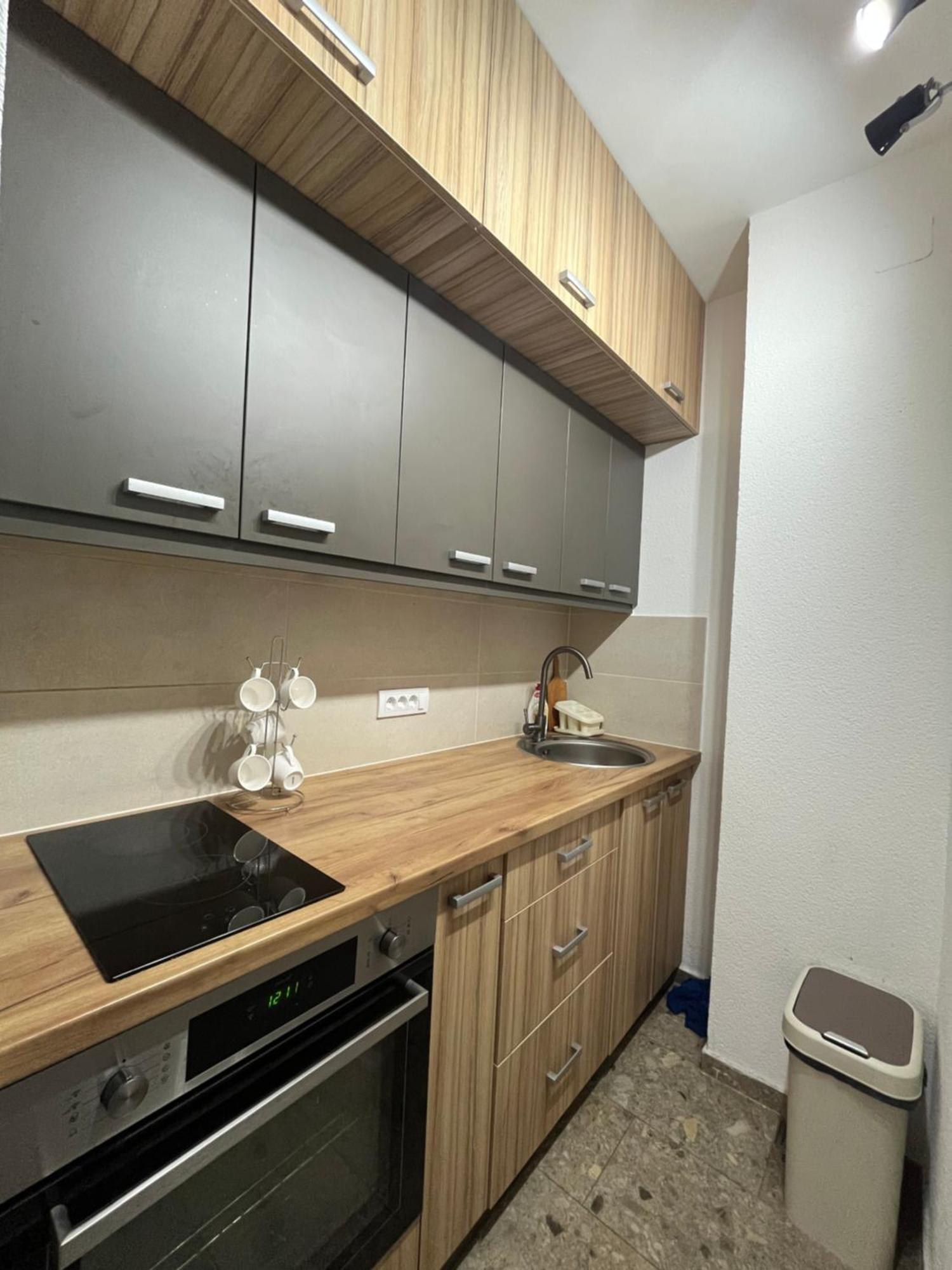 Pavlovic Apartman 贝尔格莱德 外观 照片
