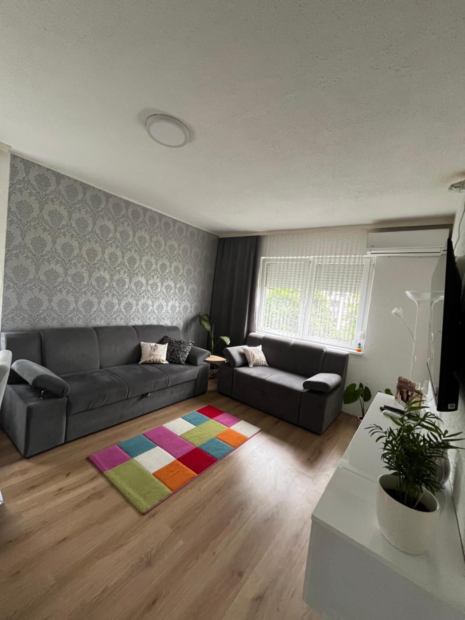 Pavlovic Apartman 贝尔格莱德 外观 照片