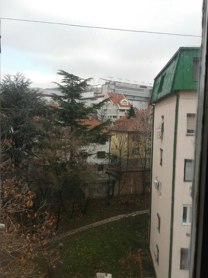 Pavlovic Apartman 贝尔格莱德 外观 照片
