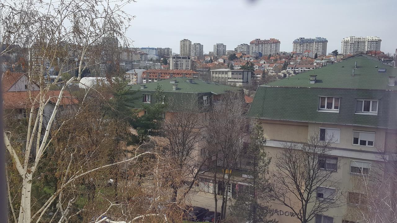 Pavlovic Apartman 贝尔格莱德 外观 照片