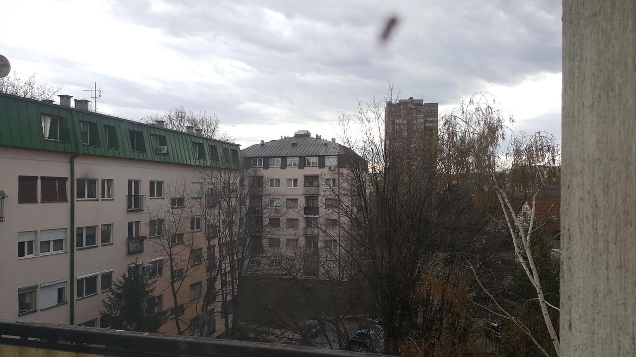 Pavlovic Apartman 贝尔格莱德 外观 照片